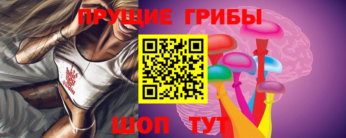 Зеленогорск  Галлюциногенные грибы ЛСД  Псилоцибиновые грибы Magic Shrooms  где купить наркоту  Вход с VPN 
