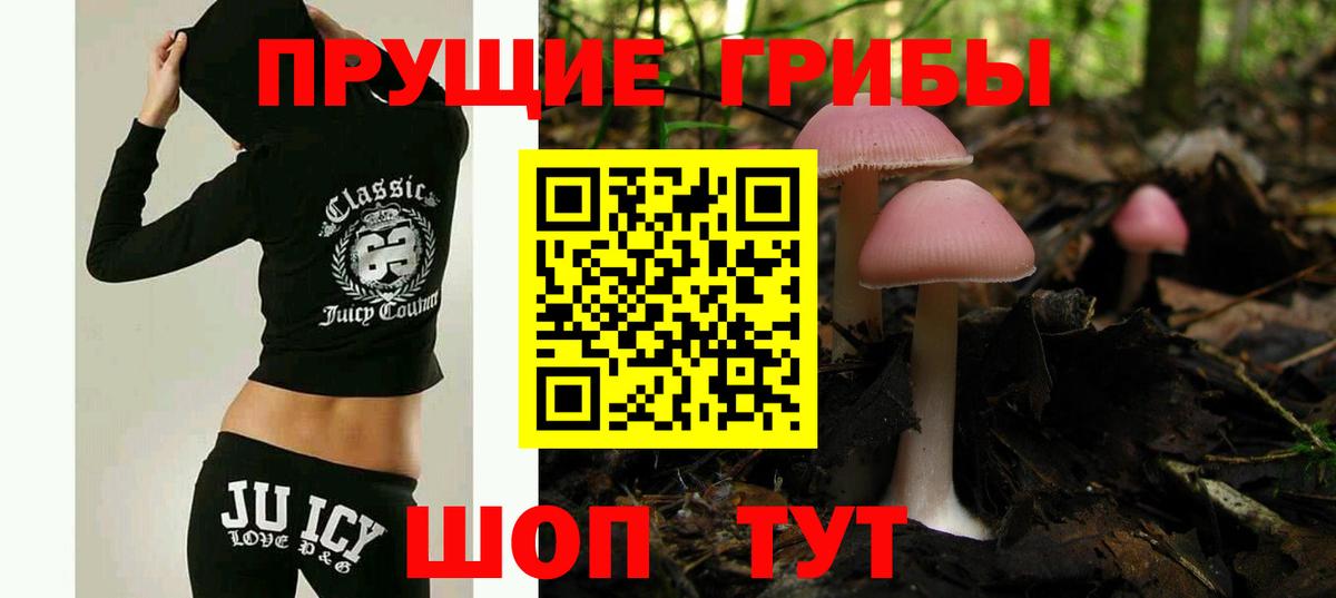 Псилоцибиновые грибы Magic Shrooms Зеленогорск